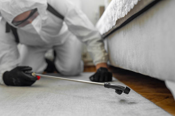 Professional Bed Bug Control technician working in Woodstock, GA