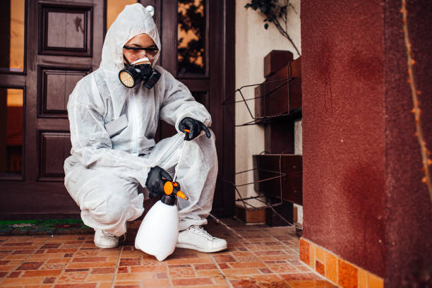 Reliable Bed Bug Control contractor in Woodstock, GA by Nex Pest Control