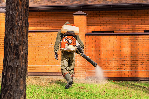 Trusted Bed Bug Control service in Woodstock, GA - Nex Pest Control